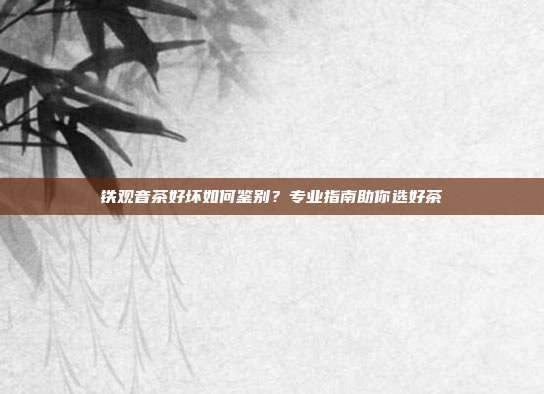 铁观音茶好坏如何鉴别？专业指南助你选好茶