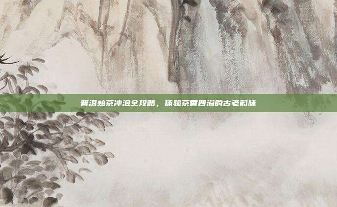 普洱熟茶冲泡全攻略，体验茶香四溢的古老韵味
