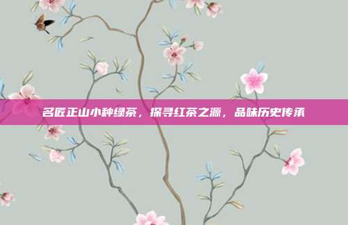 名匠正山小种绿茶，探寻红茶之源，品味历史传承