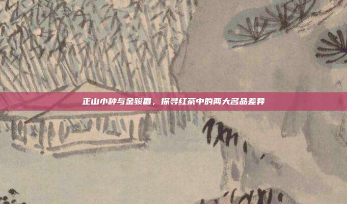 正山小种与金骏眉，探寻红茶中的两大名品差异