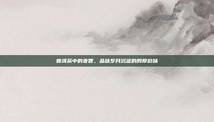 普洱茶中的枣香，品味岁月沉淀的醇厚韵味