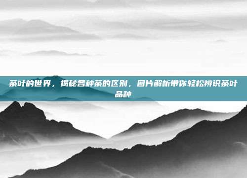 茶叶的世界，揭秘各种茶的区别，图片解析带你轻松辨识茶叶品种
