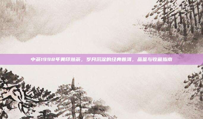 中茶1998年黄印熟茶，岁月沉淀的经典普洱，品鉴与收藏指南