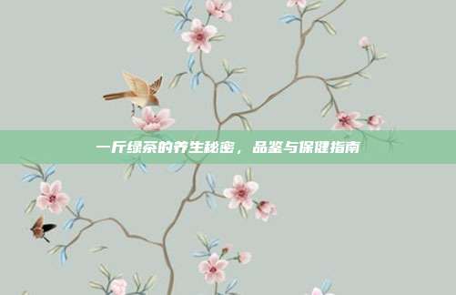 一斤绿茶的养生秘密，品鉴与保健指南