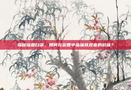 探秘福鼎白茶，如何在茶香中品味铁观音的韵味？