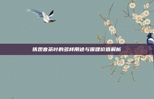 铁观音茶叶的多样用途与保健价值解析