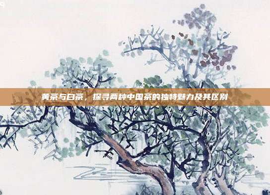 黄茶与白茶，探寻两种中国茶的独特魅力及其区别
