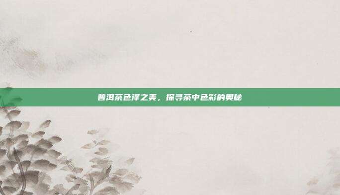 普洱茶色泽之美，探寻茶中色彩的奥秘