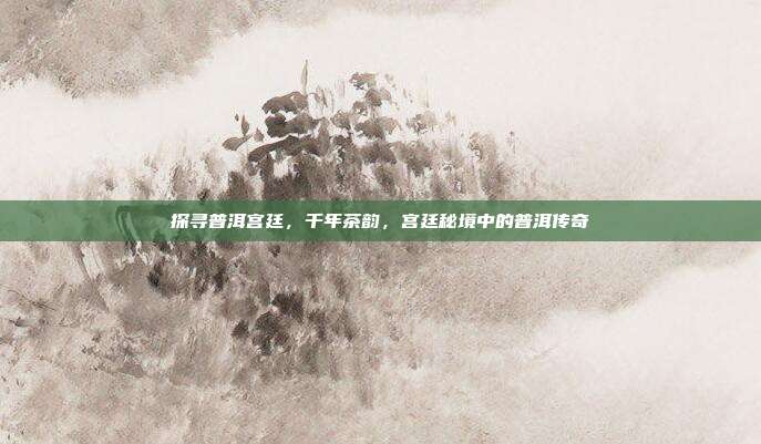探寻普洱宫廷，千年茶韵，宫廷秘境中的普洱传奇