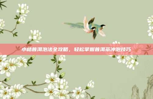 小桔普洱泡法全攻略，轻松掌握普洱茶冲泡技巧