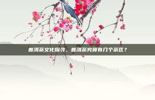 普洱茶文化探寻，普洱茶究竟有几个茶区？
