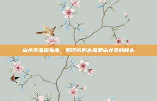 乌龙茶品鉴指南，如何辨别高品质乌龙茶的秘密