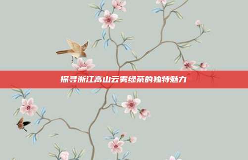 探寻浙江高山云雾绿茶的独特魅力