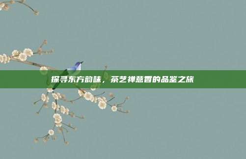 探寻东方韵味，茶艺禅意香的品鉴之旅