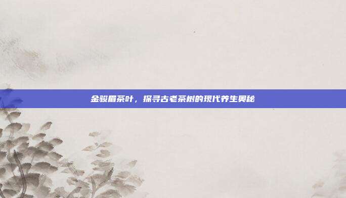 金骏眉茶叶，探寻古老茶树的现代养生奥秘