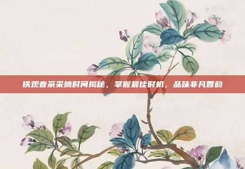 铁观音茶采摘时间揭秘，掌握最佳时机，品味非凡香韵