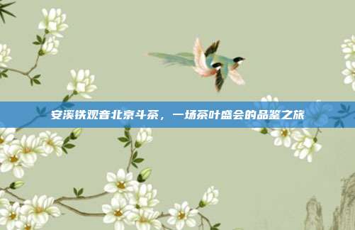 安溪铁观音北京斗茶，一场茶叶盛会的品鉴之旅