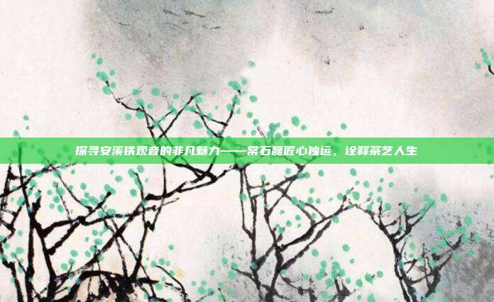探寻安溪铁观音的非凡魅力——常石磊匠心独运，诠释茶艺人生