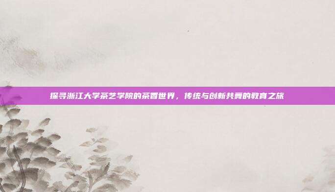 探寻浙江大学茶艺学院的茶香世界，传统与创新共舞的教育之旅