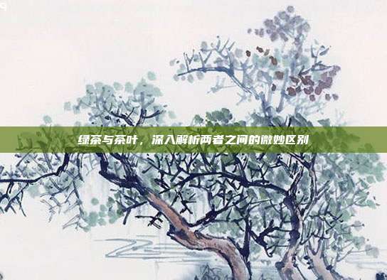 绿茶与茶叶，深入解析两者之间的微妙区别