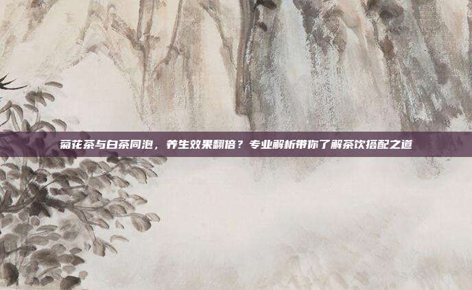 菊花茶与白茶同泡，养生效果翻倍？专业解析带你了解茶饮搭配之道