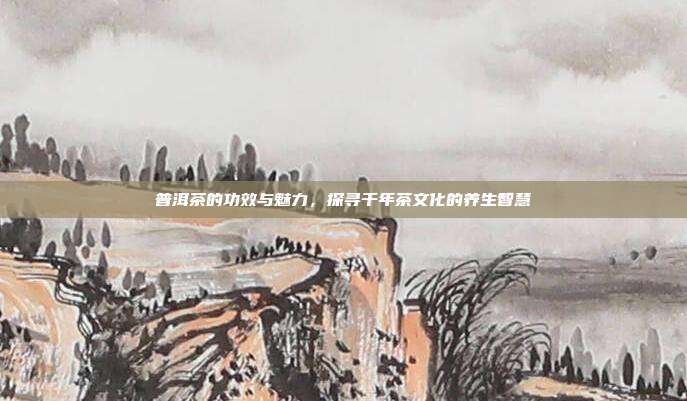 普洱茶的功效与魅力，探寻千年茶文化的养生智慧