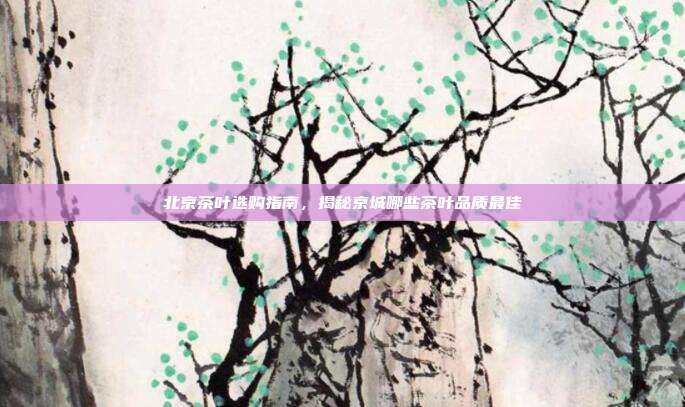 北京茶叶选购指南，揭秘京城哪些茶叶品质最佳