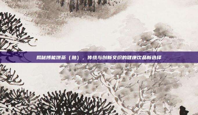 揭秘博能饼茶（熟），传统与创新交织的健康饮品新选择