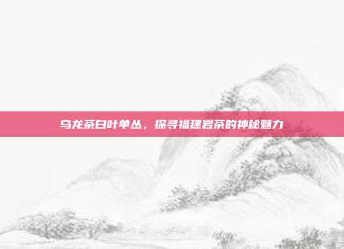 乌龙茶白叶单丛，探寻福建岩茶的神秘魅力