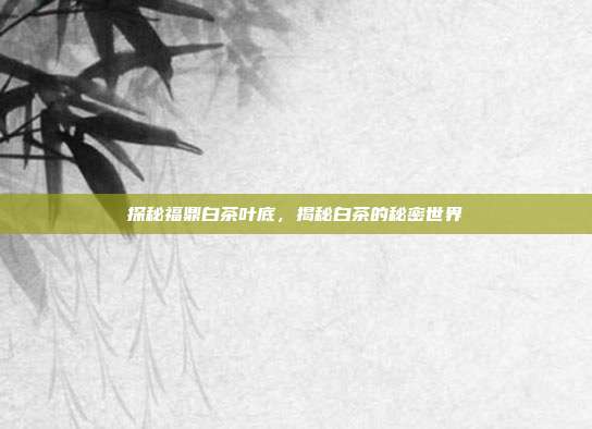 探秘福鼎白茶叶底，揭秘白茶的秘密世界