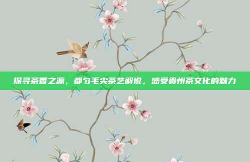 探寻茶香之源，都匀毛尖茶艺解说，感受贵州茶文化的魅力
