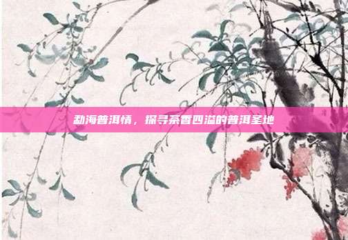 勐海普洱情，探寻茶香四溢的普洱圣地