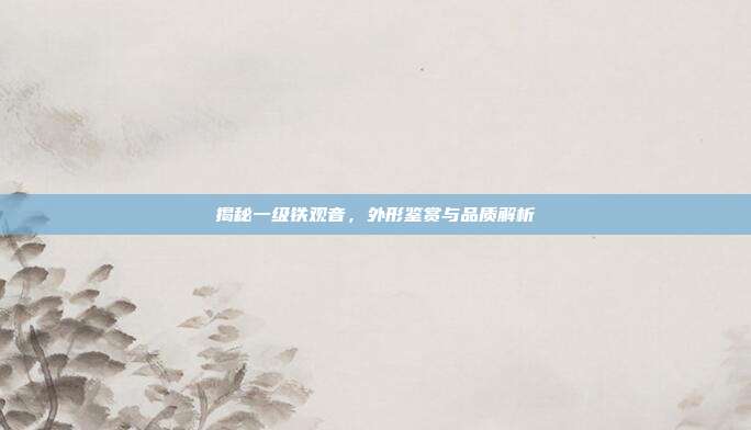揭秘一级铁观音，外形鉴赏与品质解析