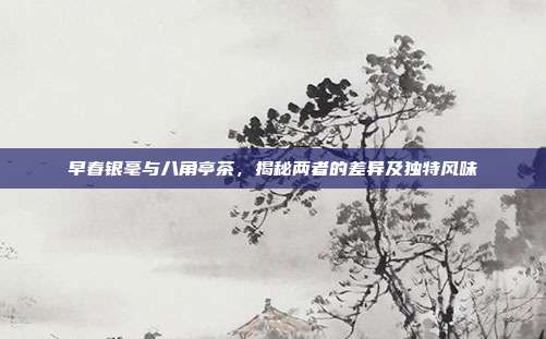 早春银毫与八角亭茶，揭秘两者的差异及独特风味