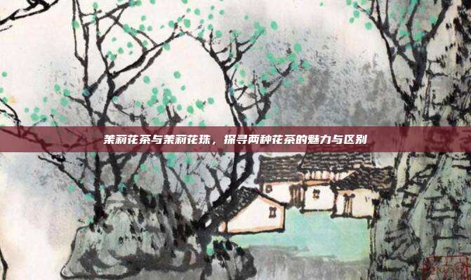 茉莉花茶与茉莉花珠，探寻两种花茶的魅力与区别