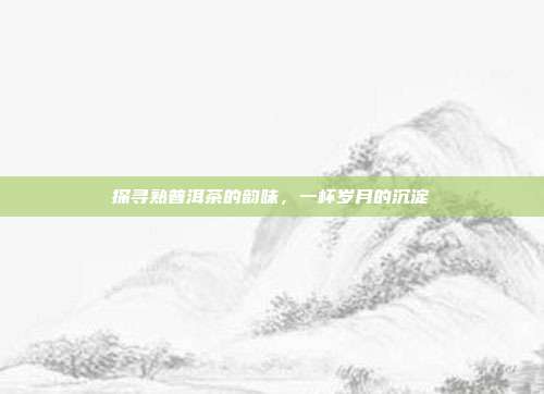 探寻熟普洱茶的韵味，一杯岁月的沉淀
