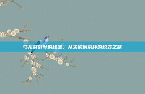 乌龙茶鲜叶的秘密，从采摘到茶杯的蜕变之旅