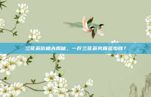 兰花茶价格大揭秘，一斤兰花茶究竟多少钱？