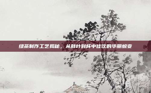绿茶制作工艺揭秘，从鲜叶到杯中佳饮的华丽蜕变