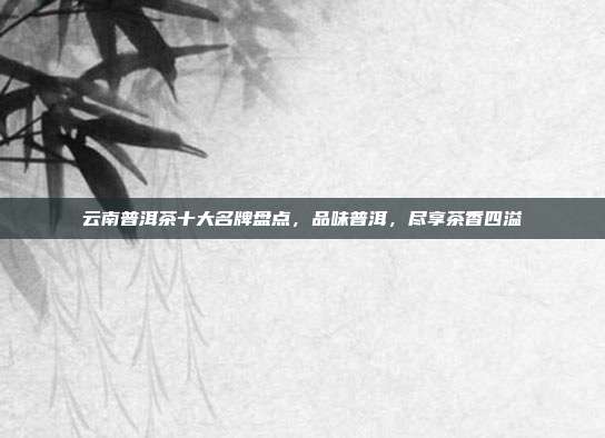 云南普洱茶十大名牌盘点，品味普洱，尽享茶香四溢