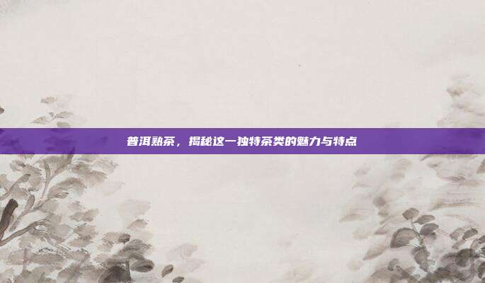 普洱熟茶，揭秘这一独特茶类的魅力与特点