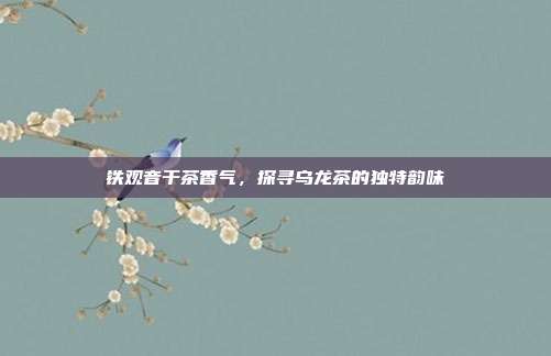 铁观音干茶香气，探寻乌龙茶的独特韵味