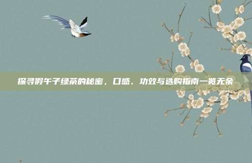 探寻假午子绿茶的秘密，口感、功效与选购指南一览无余