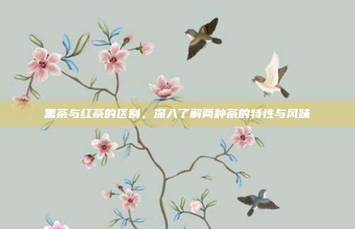黑茶与红茶的区别，深入了解两种茶的特性与风味
