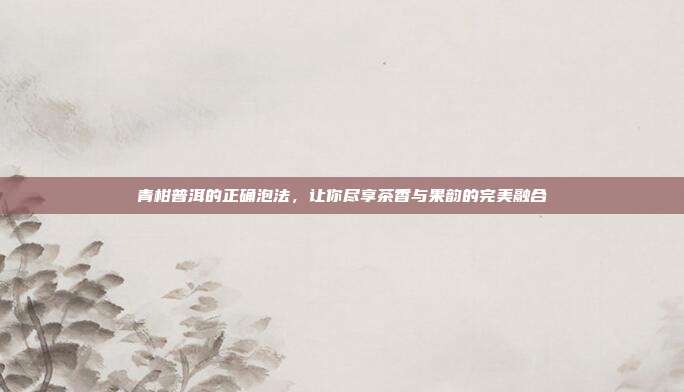 青柑普洱的正确泡法，让你尽享茶香与果韵的完美融合