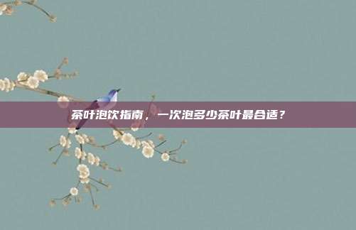 茶叶泡饮指南，一次泡多少茶叶最合适？
