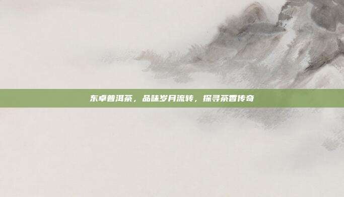 东卓普洱茶，品味岁月流转，探寻茶香传奇