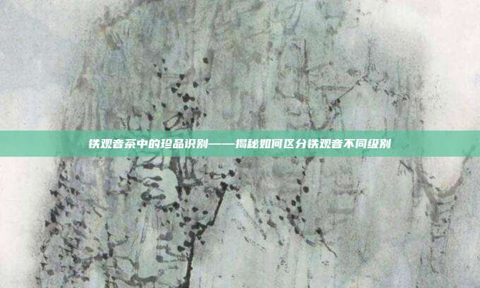 铁观音茶中的珍品识别——揭秘如何区分铁观音不同级别