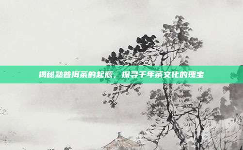 揭秘熟普洱茶的起源，探寻千年茶文化的瑰宝
