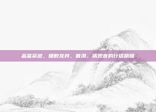 品鉴茶道，细数龙井、普洱、铁观音的行话精髓